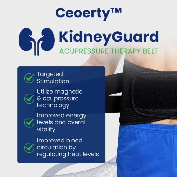 KidneyGuard Acupressure Therapy Belt - Image 4