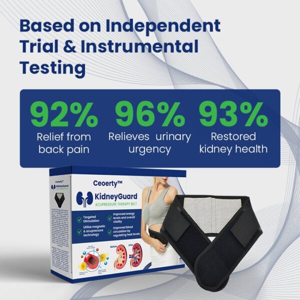 KidneyGuard Acupressure Therapy Belt - Image 3